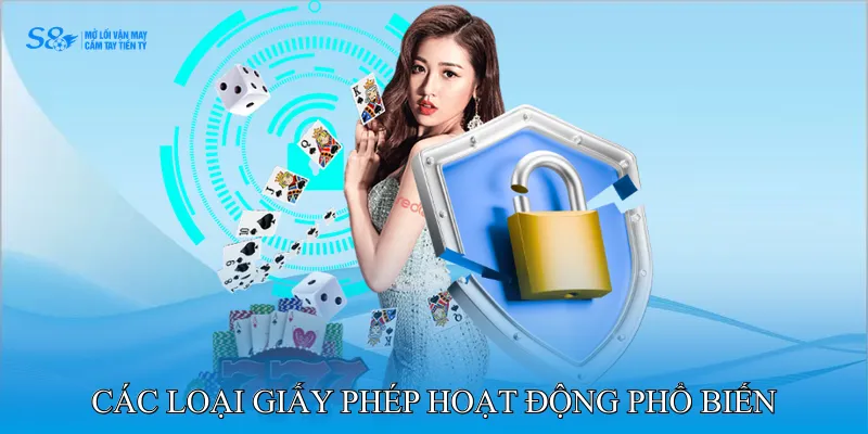 Các loại giấy phép hoạt động phổ biến