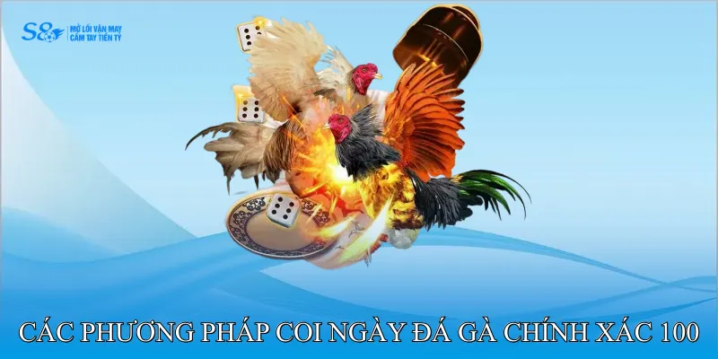 Các Phương Pháp Coi Ngày Đá Gà Chính Xác 100