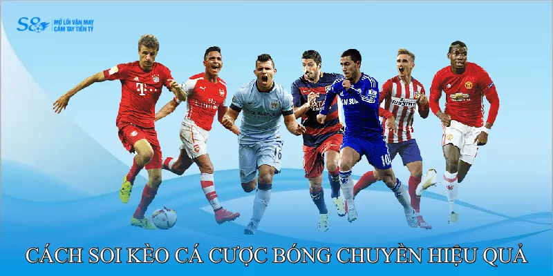 Cách soi kèo cá cược bóng chuyền hiệu quả