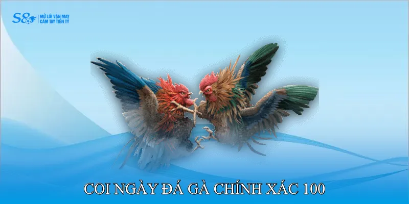 Coi ngày đá gà chính xác 100