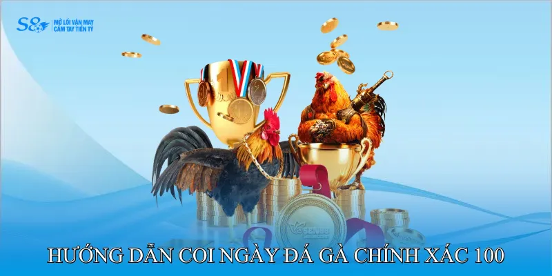 Hướng Dẫn Coi Ngày Đá Gà Chính Xác 100