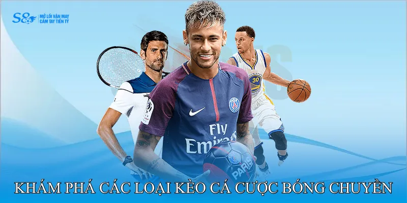 Khám phá các loại kèo cá cược bóng chuyền phổ biến
