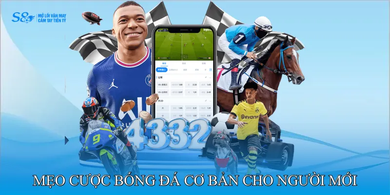 Mẹo cược bóng đá cơ bản cho người mới